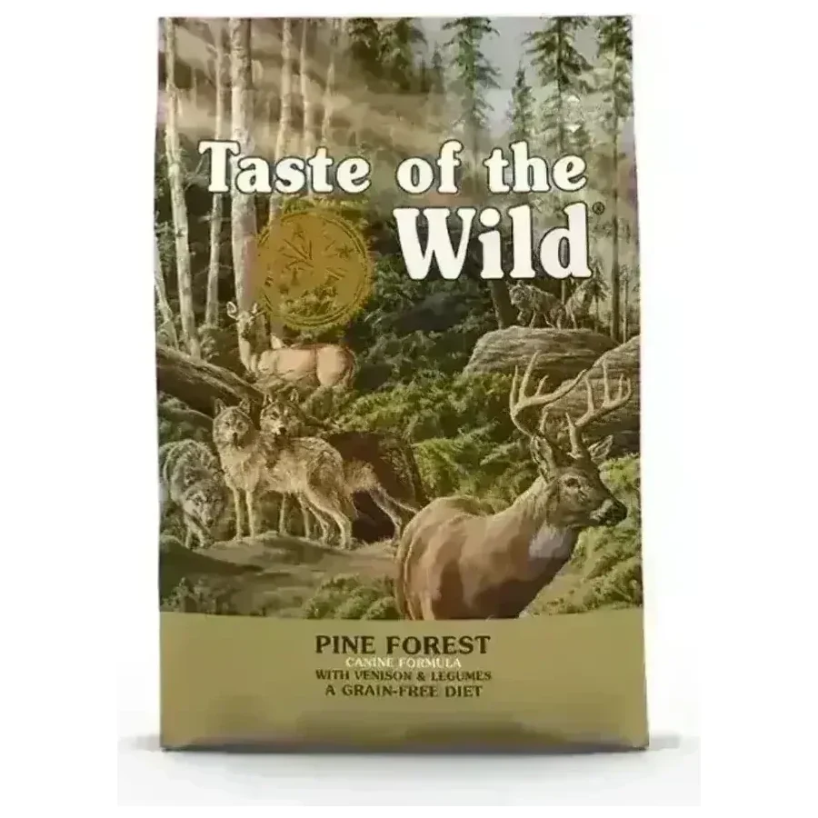 Pine Forest