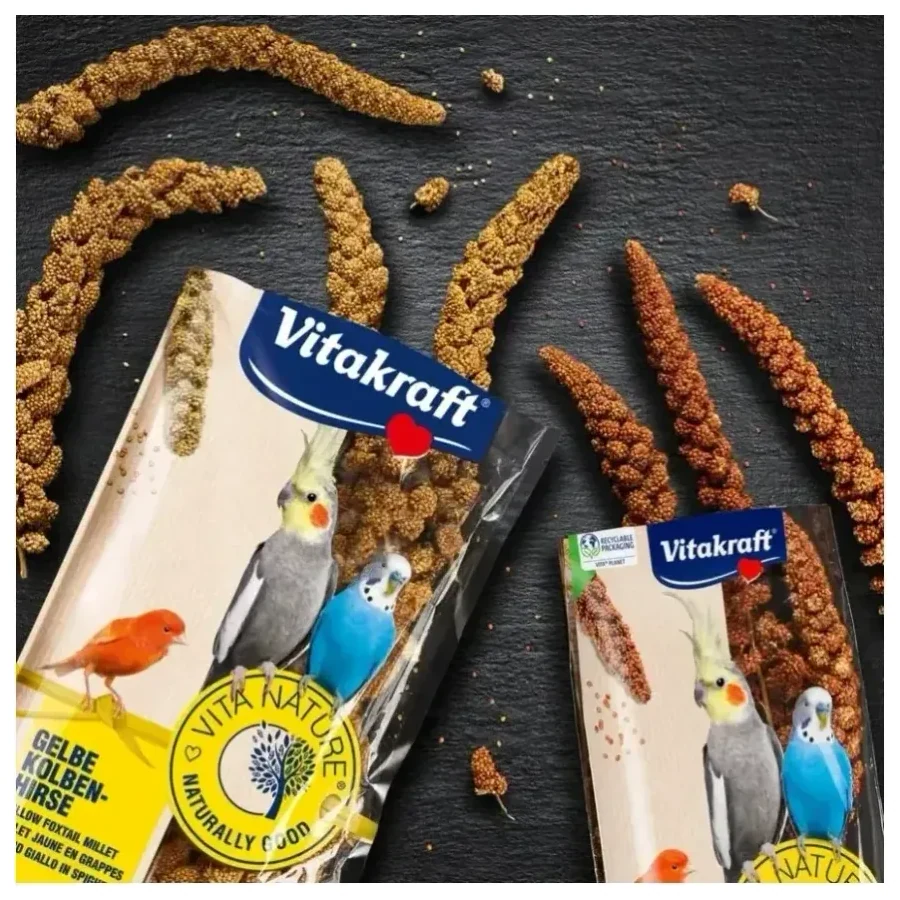 Kê đuôi chồn